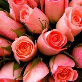 4 applications de livraison de fleurs pour la fête des mères