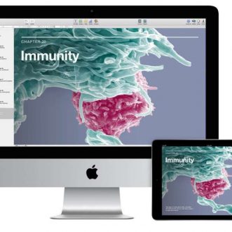 Apple met fin au programme iBooks Author et à iTunes U