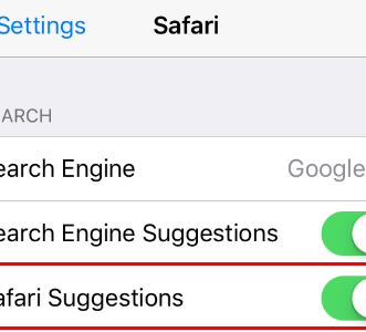 Comment désactiver les suggestions pour empêcher Safari de planter
