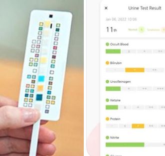 Test d&rsquo;urine AlphaDo pour chiens et chats avec application iPhone