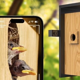 Nid d&rsquo;oiseaux Birdfy connecté avec double caméra et intelligence artificielle pour smartphone