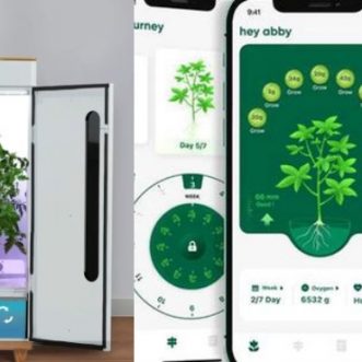 Boîte de culture connectée Abby App pour chanvre, thym, persil