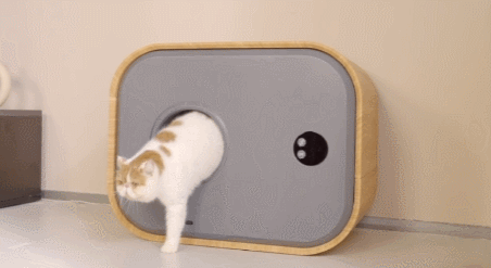 Lilboxy Max, bbox à litière auto-nettoyante contrôlée par iPhone/Android