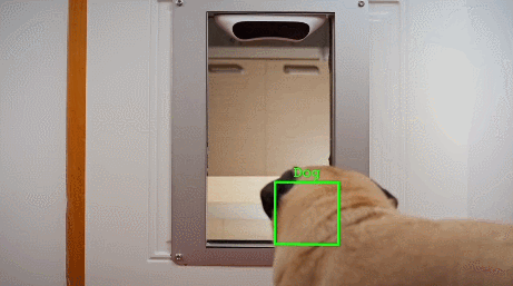Porte automatique pour animaux Petvation avec reconnaissance faciale et contrôle via application