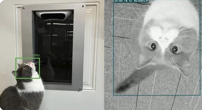 Porte automatique pour animaux Petvation avec reconnaissance faciale et contrôle via application