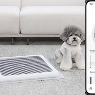 Litière Auto-Nettoyante Connectée pour Chien avec Smartphone