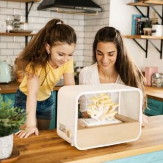 Dispositif intelligent de culture de champignons Shrooly App