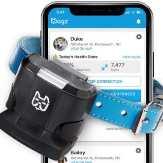 Collier intelligent pour chien Wagz Freedom avec batterie Boost et suivi par application