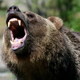 Prévisions hebdomadaires de l’action AAPL : les actions chutent de près de 10 %, jeux vidéo pour la nouvelle Apple TV et plus