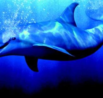 SEGA annonce l’abandon de certains titres sur l’App Store