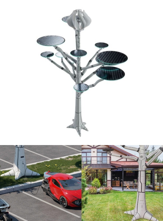 Arbre solaire Crypto