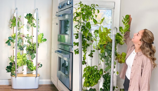 Jardin intérieur intelligent Gardyn App avec IA