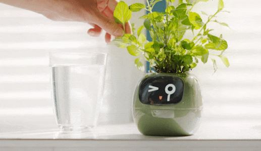 Ivy Smart Planter