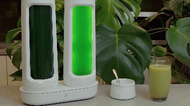 Système Intelligent de Culture de Spiruline Smart Spirulina