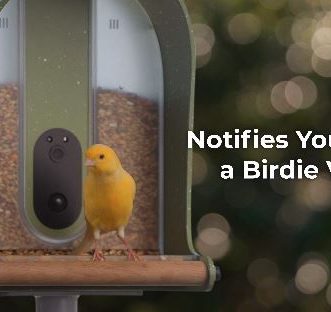 Distributeur automatique d&rsquo;alimentation pour animaux de compagnie intelligent avec application