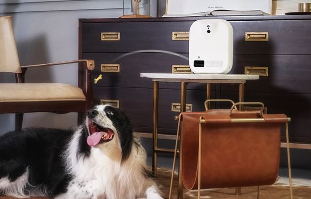 Caméra de friandises pour animaux POKPAW 5G WiFi