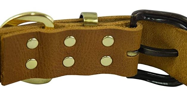 Collier AirCollar pour AirTag